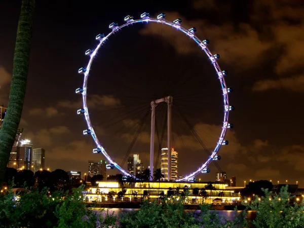 Σιγκαπούρη Μαρτίου 2016 Νυχτερινή Θέα Του Διάσημου Τροχού Της Singapore — Φωτογραφία Αρχείου