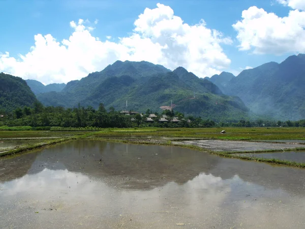 Mai Chau Vietnam June 2016 Rice Field Filled Water Mai — Stock Photo, Image