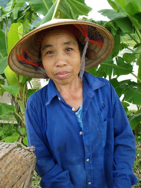 Mai Chau, Vietnam, 20 Haziran 2016: Mai Chau Vadisi, Vietnam 'da bir pirinç tarlasında çalışan bir işçi