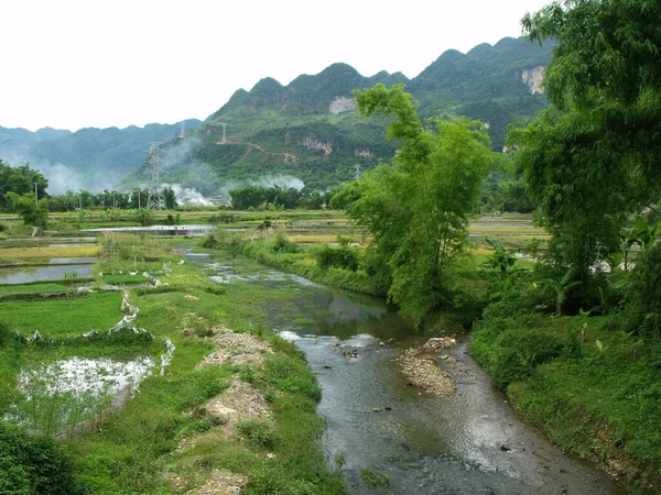 Mai Chau Vietnam June 2016 River Crosses Rice Fields Mai — Stock Photo, Image
