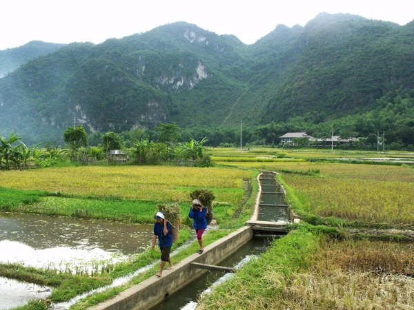 Mai Chau Vietnam Juni 2016 Zwei Frauen Tragen Körbe Voller — Stockfoto