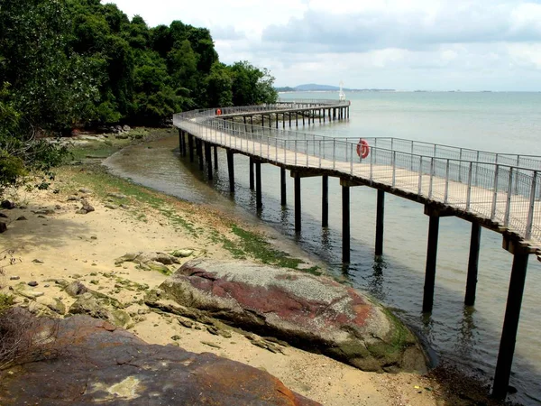 2016年3月5日シンガポールのプラウ ウビン Pulau Ubin シンガポールのプラウ ウビン Pulau Ubin 海岸沿いを走る歩道の1つ — ストック写真