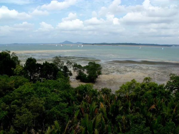 Pulau Ubin Singapura Março 2016 Vista Singapura Uma Praia Pulau — Fotografia de Stock