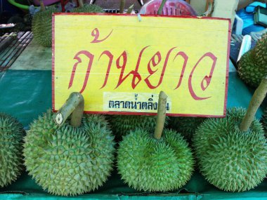 Bangkok, Tayland, 26 Eylül 2015: Durian Bangkok 'taki Taling Chan Yüzen Pazarı' nda satılık