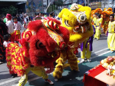 Bangkok, Tayland, 14 Kasım 2015: Bangkok 'taki Çin Halk Klanı Festivali' nde dans eden iki aslan