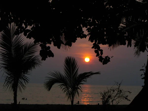 Sunset between palm trees at Lonely beach, Koh Chang Island. Thailand