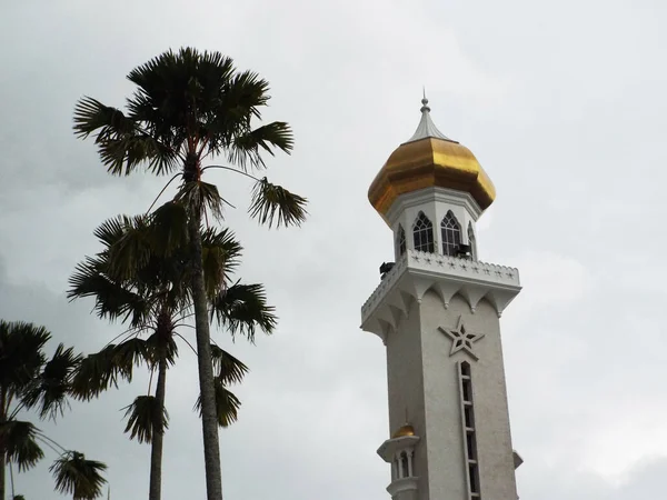 Bandar Seri Begawan Brunei Stycznia 2017 Palmy Obok Jednej Minaretów — Zdjęcie stockowe