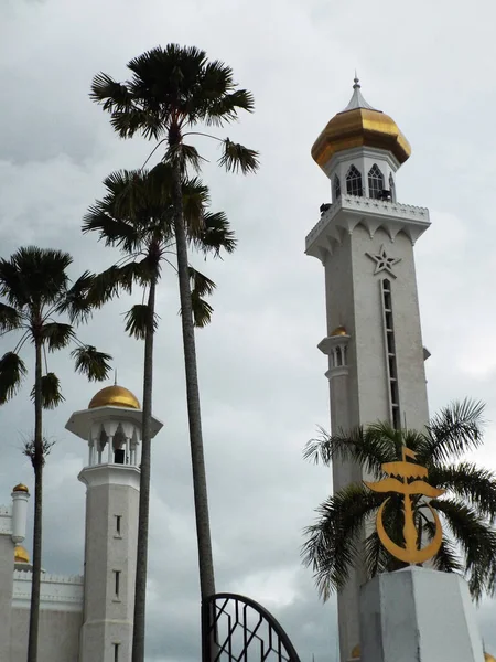 Bandar Seri Begawan Brunei Janeiro 2017 Vista Vertical Palmeiras Lado — Fotografia de Stock
