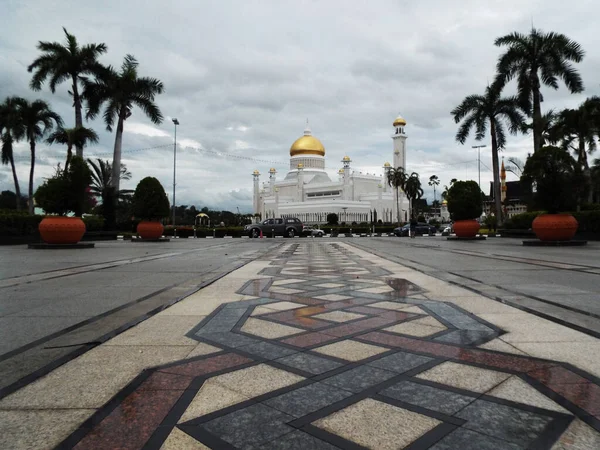 Bandar Seri Begawan Brunei Janeiro 2017 Rua Com Palmeiras Frente — Fotografia de Stock