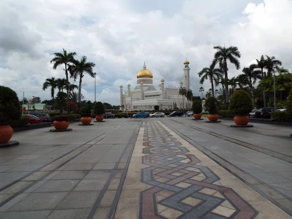 Bandar Seri Begawan Brunei Janeiro 2017 Rua Pedonal Com Palmeiras — Fotografia de Stock
