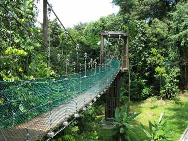 Kuala Lumpur, Malezya, 1 Şubat 2016: KL Ormanı Eco Parkı 'nın yüksek yürüyüş yollarından birinin yan görüntüsü. Kuala Lumpur MALAYSIA