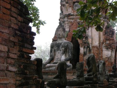 Ayutthaya, Tayland, 24 Ocak 2013: Siyam Krallığı 'nın antik başkenti Ayutthaya' nın kalıntılarındaki Buda 'lar. Tayland