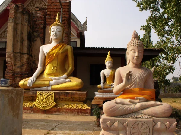 Ayutthaya Tailândia Janeiro 2013 Budas Dos Templos Ayutthaya Antiga Capital — Fotografia de Stock