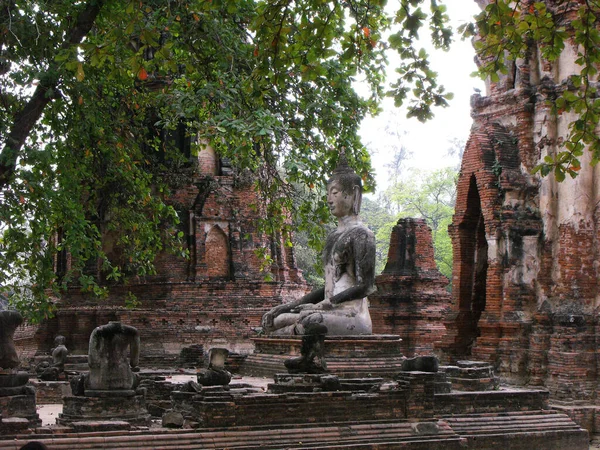 Ayutthaya Tajlandia Stycznia 2013 Buddowie Murowane Stupy Ruinach Ayutthaya Starożytnej — Zdjęcie stockowe