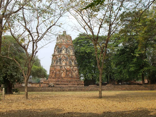 Ayutthaya Thailand Januari 2013 Röd Tegelsten Stupa Bland Träden Ruinerna — Stockfoto