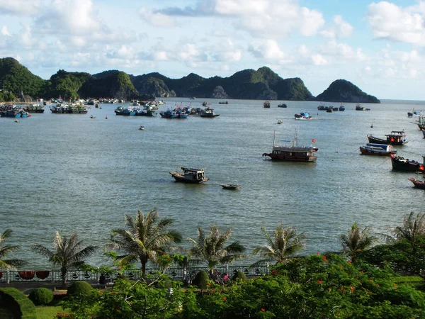Остров Кат Залив Халонг Вьетнам Июня 2016 Года Рыболовные Лодки — стоковое фото