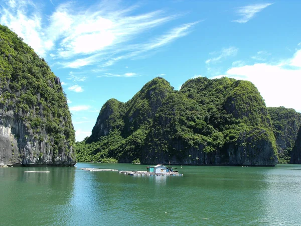 Залив Халонг Вьетнам Июня 2016 Одинокая Плавучая Лодка Заливе Халонг — стоковое фото