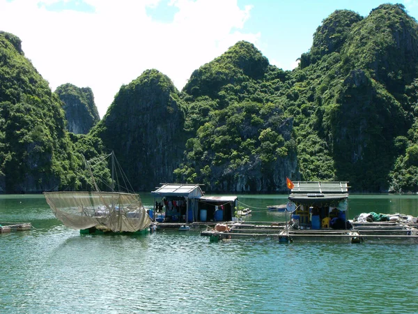 Long Bay Vietnam Června 2016 Dům Rybářské Sítě Plovoucí Rybářské — Stock fotografie