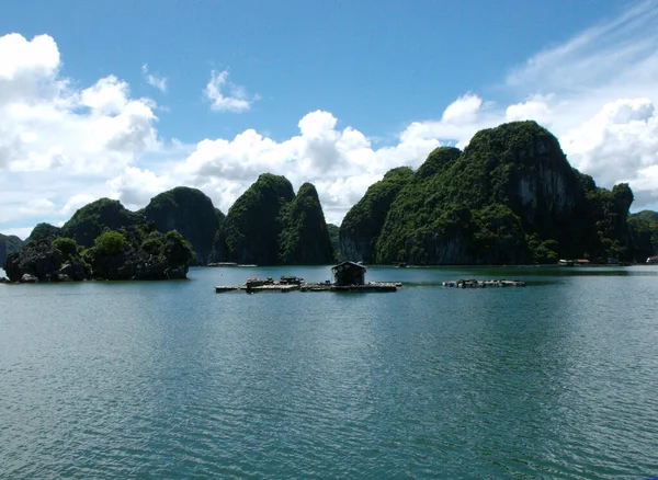 Ha Long Bay, Vietnam, 23 Haziran 2016: Ha Long Körfezi 'ndeki büyük kaya dağlarının arasında yalnız bir balıkçının evi. Vietnam
