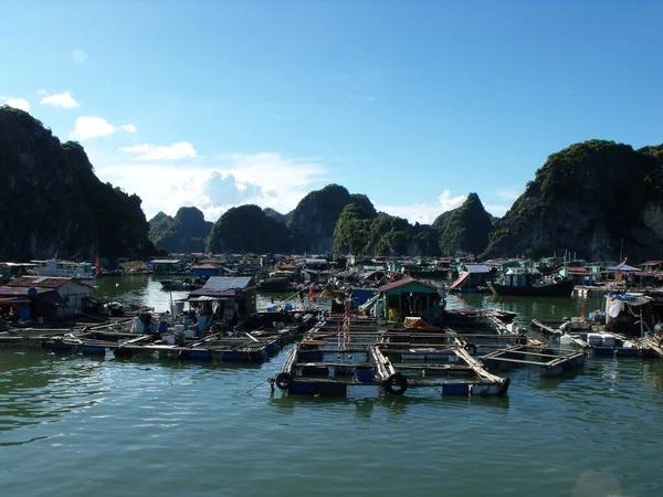 Long Bay Vietnã Junho 2016 Casas Uma Vila Piscatória Flutuante — Fotografia de Stock