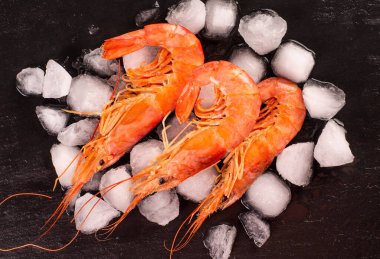 Siyah masada taze karides ve buz. Üst görünüm.