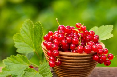 Tahta masadaki bir kasede olgun kırmızı frenk üzümü..
