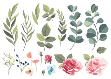 Çiçek ve yaprakları beyaz bir arka plan üzerinde küme. Vektör çizim