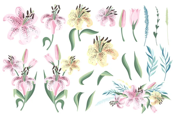 Set Aus Rosa Und Gelben Lilien Mit Blättern Vektorillustration — Stockvektor