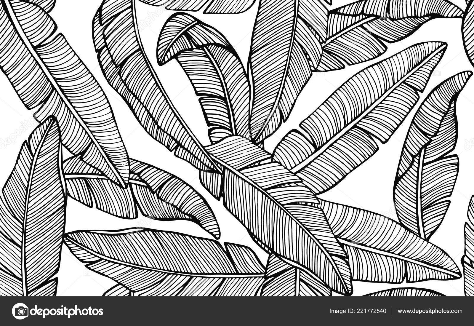 Seamless Tropical Pattern Banana Leaves Hand Drawn Vector Illustration Vector Image By C Kate She Vector Stock