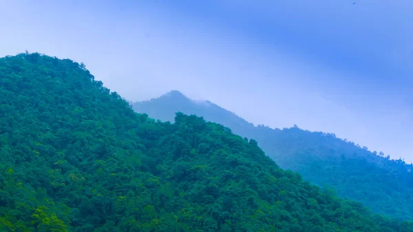 Nas Altas Montanhas Uttarakhand Montanhas Cobertas Grama Verde Árvores Que — Fotografia de Stock