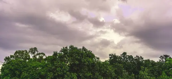 Yağmur öncesi iklimi yaratan yeşil ağaçlarla çevrili bulutlar.