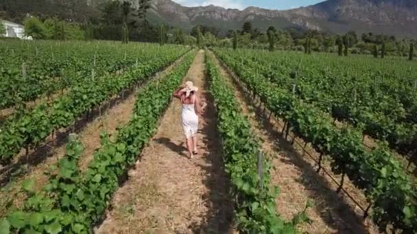Młoda Kobieta Idąca Kierunku Plantacji Winogron Produkcji Wina Franschhoek Mieście — Wideo stockowe