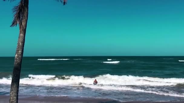 Pennsula Mara Ligger Costa Dend Delstaten Bahia Brasilien Mycket Besökt — Stockvideo