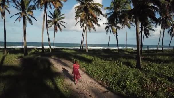 Młoda Kobieta Idąca Kierunku Plaży Frances Alagoas Brazylia — Wideo stockowe
