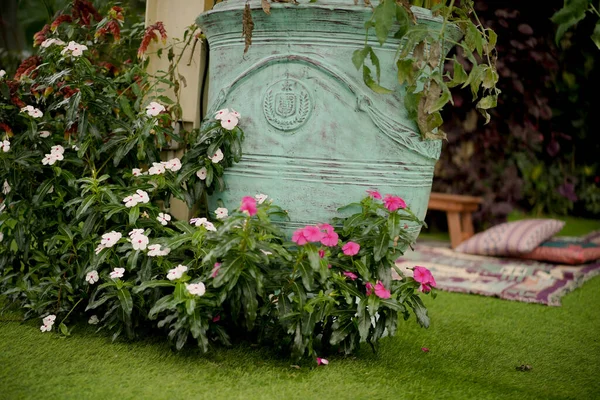 Dekoratif saksıları olan renkli çiçek bahçesi