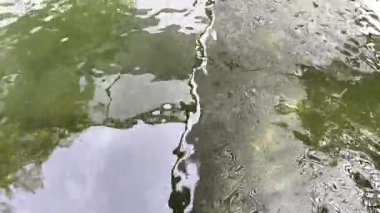 Arkaplanda yosunlu kayalar olan berrak su dalgalarının yansıması (4)