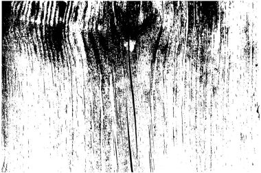 Tahta tohumu. Doku arka planı.