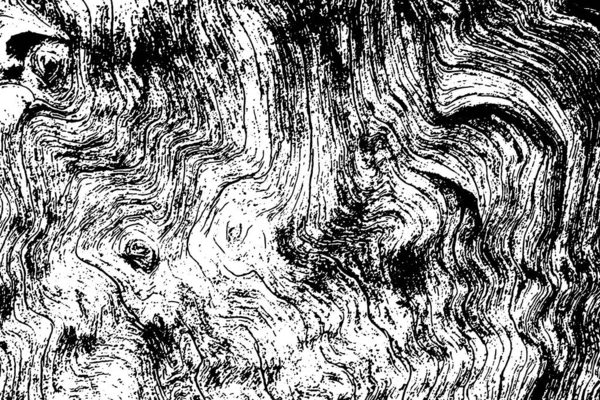 Baum Schwarz Weiß Textur Hintergrund — Stockvektor