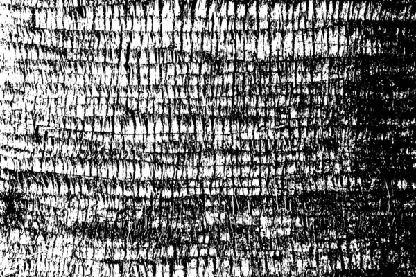 黒と白のベクトルテクスチャ 古い木の樹皮のテクスチャ — ストックベクタ