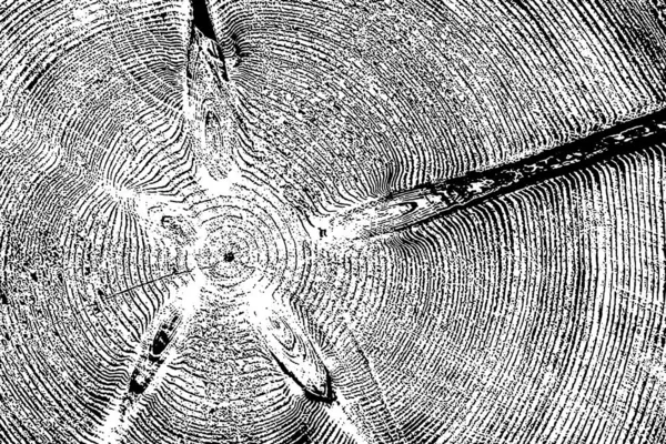 木の穀物 テクスチャの背景 — ストックベクタ