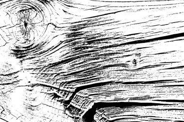 Tahta tohumu. Doku arka planı.