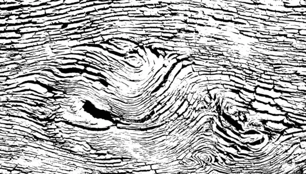 Wood Grain Texture — 스톡 벡터