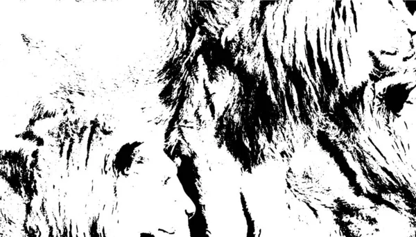 アフリカの動物の皮膚 テクスチャの背景 — ストックベクタ