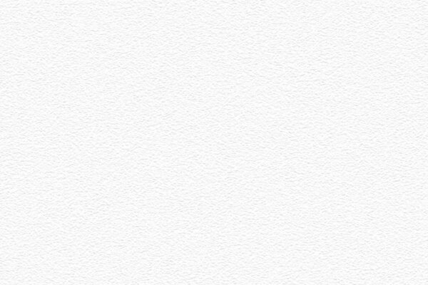 paper vector texture. background.