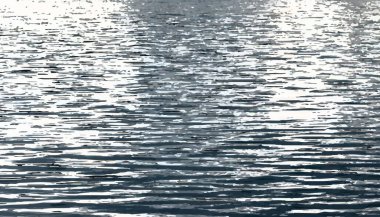 Su dalgalanması vektör dokusu. arkaplan.