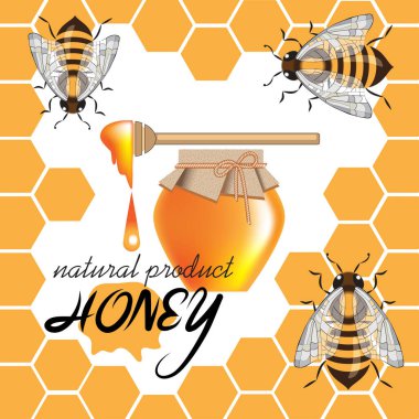 Üç arı, bir kavanoz bal, bal petekleri bir çerçeve oluşturur, yazılı bal doğal bir üründür. Vektör çizimi. EPS 10.