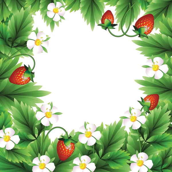 Ramka Liści Kwiatów Jagód Truskawek Trzy Kolory Zielony Czerwony Biały — Wektor stockowy