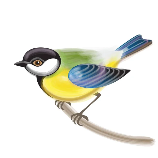 Bird Tit Sitting Branch Vector Watercolor Imitation Living Materials — Stock vektor