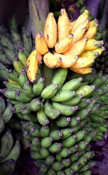 Selectieve Focus Fris Rijp Geel Groene Bananen Een Traditionele Supermarkt — Stockfoto