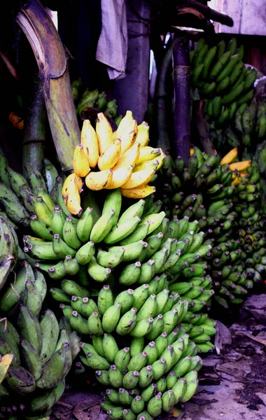 Stock image Selective focus, Fresh and ripe Yellow,Green bananas in a traditional grocery market. Spontaneous market concept